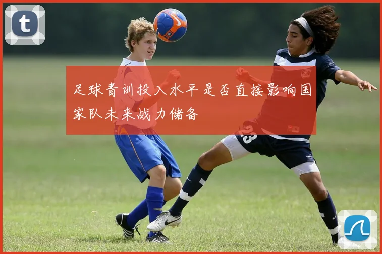 足球青训投入水平是否直接影响国家队未来战力储备