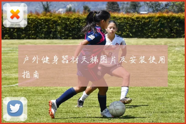 户外健身器材天梯图片及安装使用指南