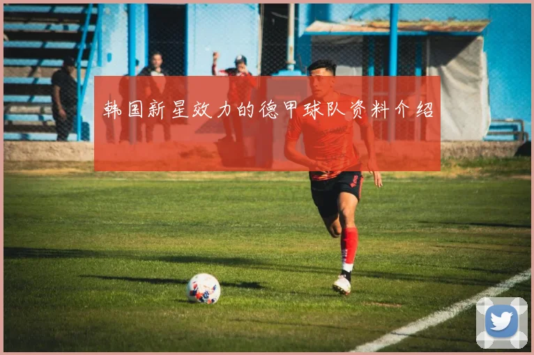 韩国新星效力的德甲球队资料介绍