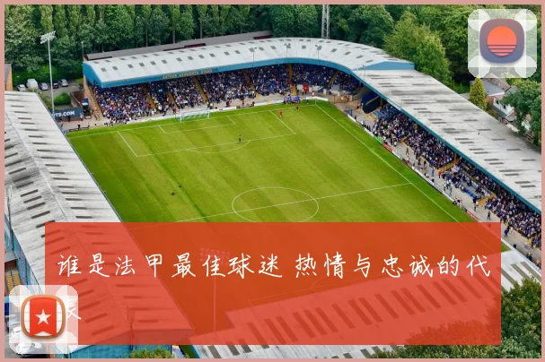 谁是法甲最佳球迷 热情与忠诚的代表