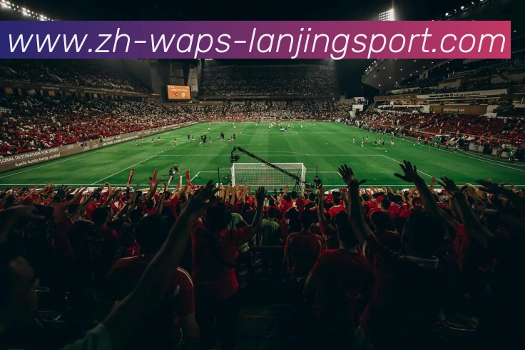 蓝鲸体育发展历程